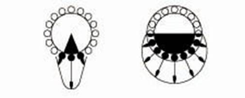 Timken-bearing load-zone.jpg